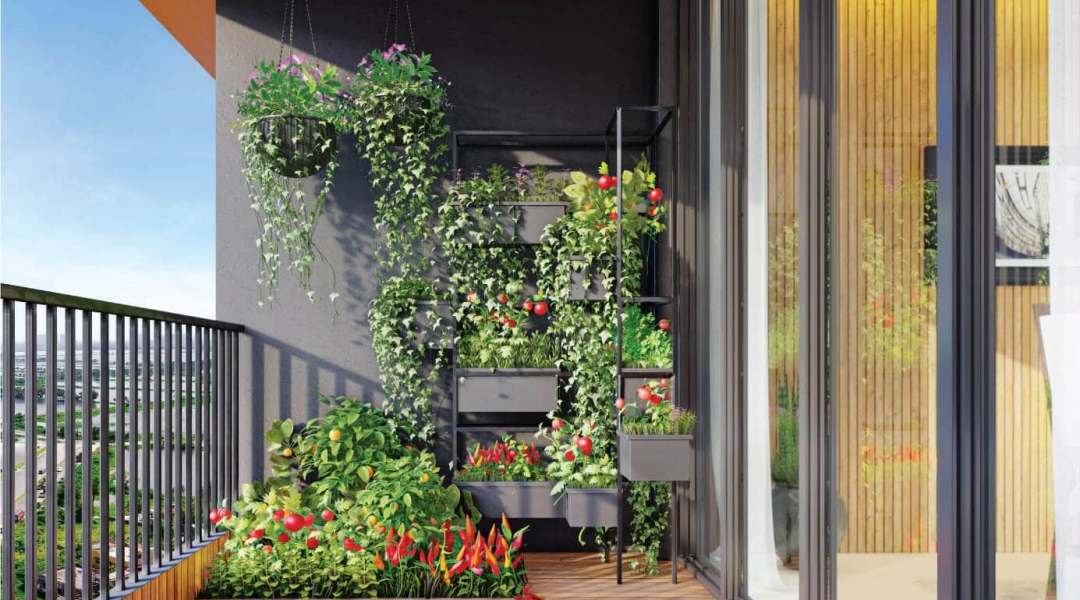 Balcony.jpg